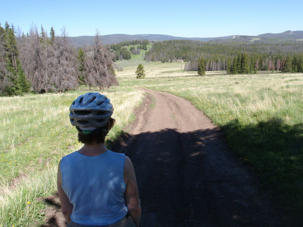 Terry looks at our backtrail on the GDMBR.